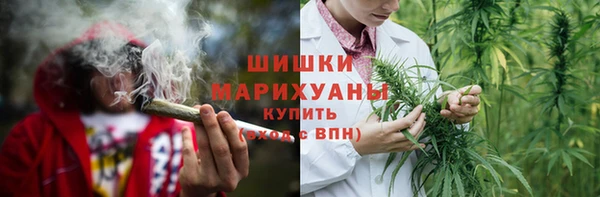 стаф Бородино