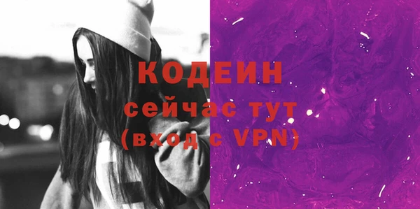 стаф Бородино