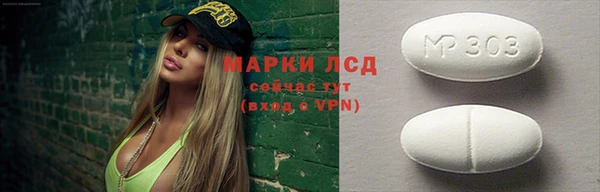 стаф Бородино