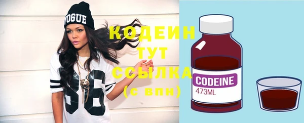 стаф Бородино