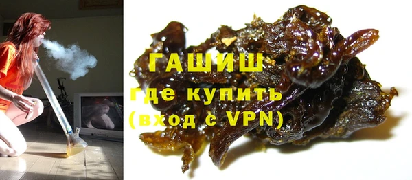 стаф Бородино