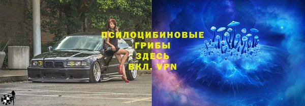 стаф Бородино