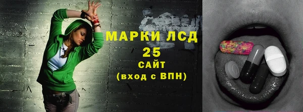 стаф Бородино
